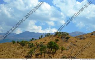 Photo Reference of Background Nature 0047